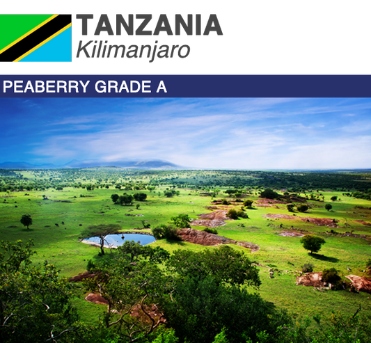 Tanzania Peaberry Kilimanjaro