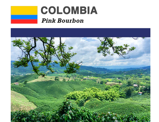 Columbia Finca La Riviera Pink Bourbon (Limited Release)