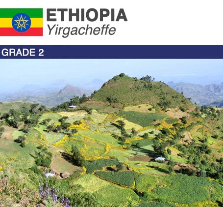 Ethiopia Yirgacheffe G2 Natural