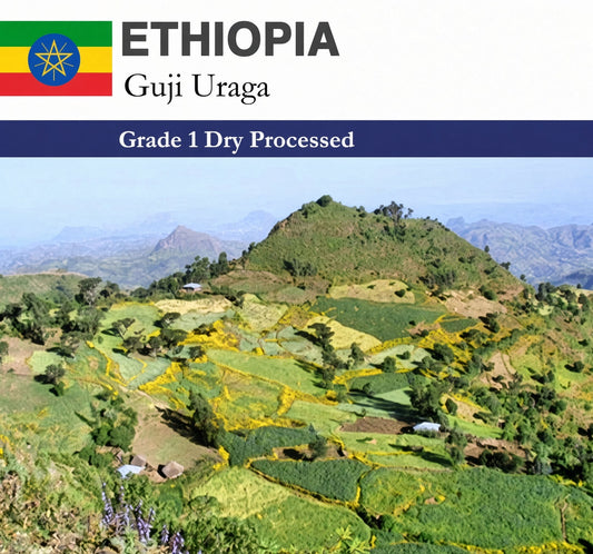 Ethiopia Dry Process Guji Uraga