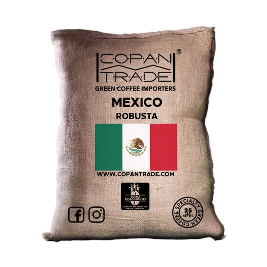 Mexico Robusta