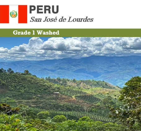 Peru San José de Lourdes G1 Washed