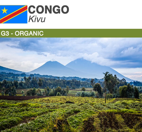 Congo Kivu Organic